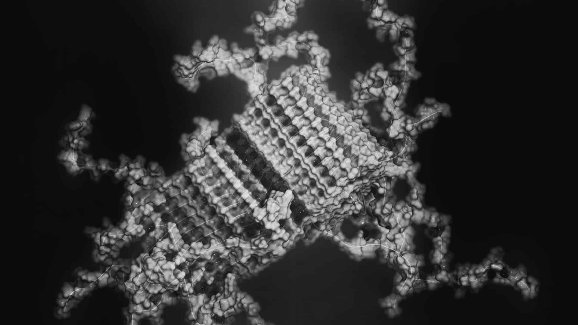 alpha synuclein protein structure
